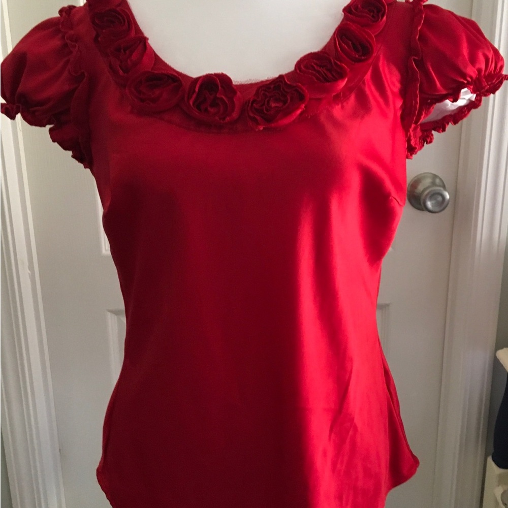 Rose collared beautiful dress top